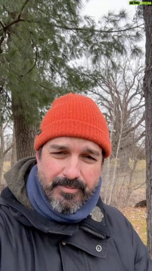 Damien Robitaille Instagram - Parfois j’aime marcher en forêt pour réfléchir sur la vie.