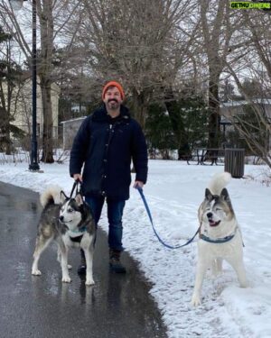 Damien Robitaille Instagram - Deux Sukis pour le prix d’un ! Le husky de ma nouvelle voisine s’appelle Suki aussi😆 !! Ajrd’hui pour la 1ere fois je les ai sortie ensemble pour une marche ! 🥰 Prochaine fois j’accroche le traineau !

2 Sukis are better the 1 ! My new neighbour’s husky is named Suki as well 😝 Today for the first time I took em both for a walk 🥰 Next time I’ll hook up the sled !