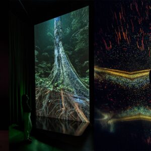 Dan Andrews Instagram - Check out the latest exhibition on its way to ACMI.

Five giant screens will be installed for people to watch the wonders of the natural world. 

From water droplets, black holes and human cells - you'll see it all.

ACMI is one of the world's most visited screen galleries.

And you can bet that with this exhibition on the way - it'll be bigger and better than ever before.