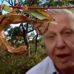 Dan Andrews Instagram - Imagine this: a tour of the seven continents. 

Getting up close with the most remarkable animals. 

And your guide is none other than David Attenborough. 

It's the BBC Earth Experience - and Melbourne will be just the second city in the world to see it. 

The experience takes you on 360-degree journey around the world, using footage from the BBC, all narrated by David Attenborough. 

It kicks off at the Melbourne Convention Centre on 27 October. 

And tell your friends in Sydney - because the only place you'll see it in Australia is right here.