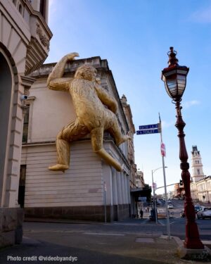 Dan Andrews Instagram - Can't confirm the existence of regional Victoria's black panther. 

But reports of a golden monkey are 100% true.

The Ballarat Foto Biennale kicks off this weekend, and as part of it a huge golden monkey has been installed on a building on Lydiard Street. 

The monkey is the work of Melbourne artist Lisa Roet. You might remember it from when it was installed on the side of Melbourne Town Hall in 2014. 

Since then, it has travelled the world, visiting Hong Kong, Singapore and Edinburgh. 

And now it's back home in Victoria as part of the Foto Biennale.