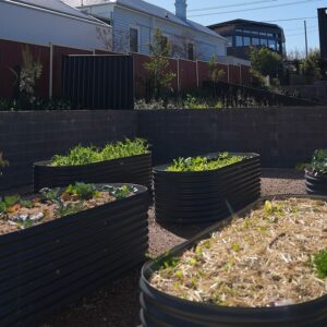 Dan Andrews Instagram - A couple of years ago, we finished rebuilding 200 social and affordable homes in Ascot Vale. 

80 homes had originally been built here in the 1940s - and 60 years later, they weren't what they used to be. 

We more than doubled what was there - and created energy efficient, accessible, well-ventilated homes.

And residents who lived there once before - like Omar and Abobeker - are back in the place they call home. 

Now we're doing it again.

We're launching Australia's biggest ever urban renewal project - and retiring and redeveloping all of Melbourne's 44 ageing high-rise public housing estates by 2051.

Because simply put, these buildings just aren't up to scratch anymore. 

The cost of maintenance alone is huge, and a simple retrofit wouldn't cut it. 

Redeveloping these towers will mean every exisiting household, plus more, will move into a new home that meets every modern building standard. 

And more Victorians will have a roof over their head - in high quality homes that they deserve.