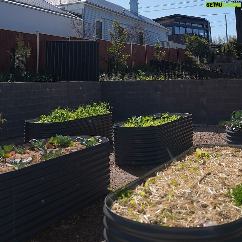 Dan Andrews - 2.4K Likes - A couple of years ago, we finished rebuilding 200 social and affordable homes in Ascot Vale.
80 homes had originally been built here in the 1940s - and 60 years later, they weren't what they used to be.
We more than doubled what was there - and created energy efficient, accessible, well-ventilated homes.
And residents who lived there once before - like Omar and Abobeker - are back in the place they call home.
Now we're doing it again.
We're launching Australia's biggest ever urban renewal project - and retiring and redeveloping all of Melbourne's 44 ageing high-rise public housing estates by 2051.
Because simply put, these buildings just aren't up to scratch anymore.
The cost of maintenance alone is huge, and a simple retrofit wouldn't cut it.
Redeveloping these towers will mean every exisiting household, plus more, will move into a new home that meets every modern building standard.
And more Victorians will have a roof over their head - in high quality homes that they deserve.