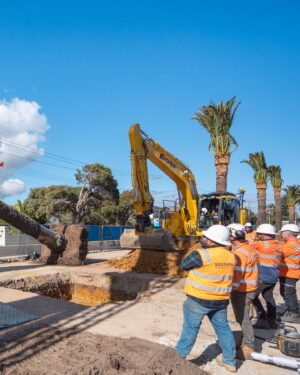 Dan Andrews Instagram - Glen Huntly's palm trees are back home after a bit of a holiday. 

The palms are 80 to 100 years old, and spent 15 months in Keysborough to protect them during level crossing works. 

With the crossings gone, 65 trees are now back in place. 

And the locals are making themselves right at home. 

Treemendous.