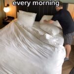 Dan Karaty