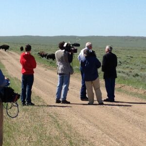 Dan Rather Instagram - A shot from the latest in our investigative reporting series Dan Rather Presents. In our new two-hour documentary special 'Range War,' we provide an eye-opening, but thoughtful and heartfelt look at a one-of-a-kind American drama being played out on the great plains of Montana. 8pm ET/5pm PT on AXS TV. #instalater #picoftheday #instagood #GreatPlains #bison #buffalo