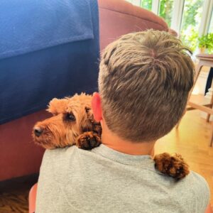 Dan Walker Instagram - Winnie is very happy to have us back from holiday ❤️
Hugs all round.

Back at work tomorrow. 

Come and join me on @classicfm from 630am and then on @c5news at 5 on 5.