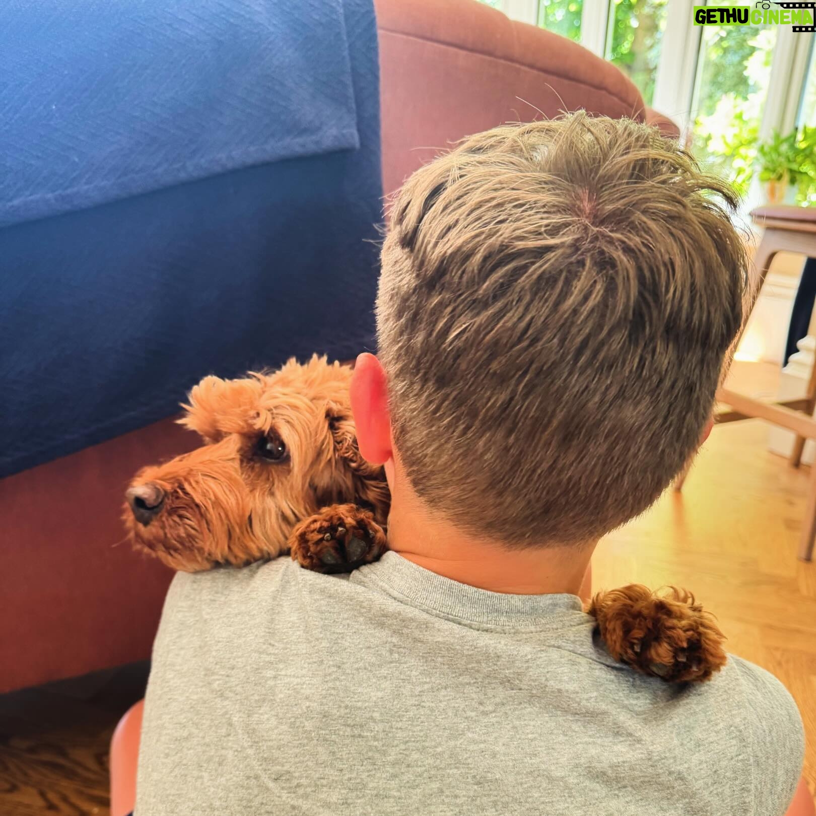 Dan Walker - 3.7K Likes - Winnie is very happy to have us back from holiday ❤️
Hugs all round.
Back at work tomorrow.
Come and join me on @classicfm from 630am and then on @c5news at 5 on 5.