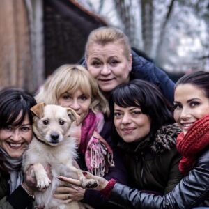 Dana Batulková Instagram - Gary je cca 3 letý, 8kg vážící střapáček, kterému zemřel majitel a rodina se bohužel nepostarala...
Je to veselý temperamentní "skoroteriér", s ostatními psy vychází dobře (ale nějaké zásadní drzosti si určitě líbit nenechá, je to chapík jak má být, žádný plyšáček 😇), kočky nahání, ale spíš pro tu srandu je honit, než že by jim chtěl ublížit.
Lidi i děti miluje, moc rád se mazlí a běžný provoz v dočasce v bytě s ostatními psy zvládá bez problémů. Hodil by se do akční rodinky, výlety a všechny další aktivity uvítá s nadšením, perfektně by mu seděl i výcvik a jekékoliv psí sporty.
Gary je odčervený, očkovaný, čipovaný i kastrovaný. Více info u @conosurkennel