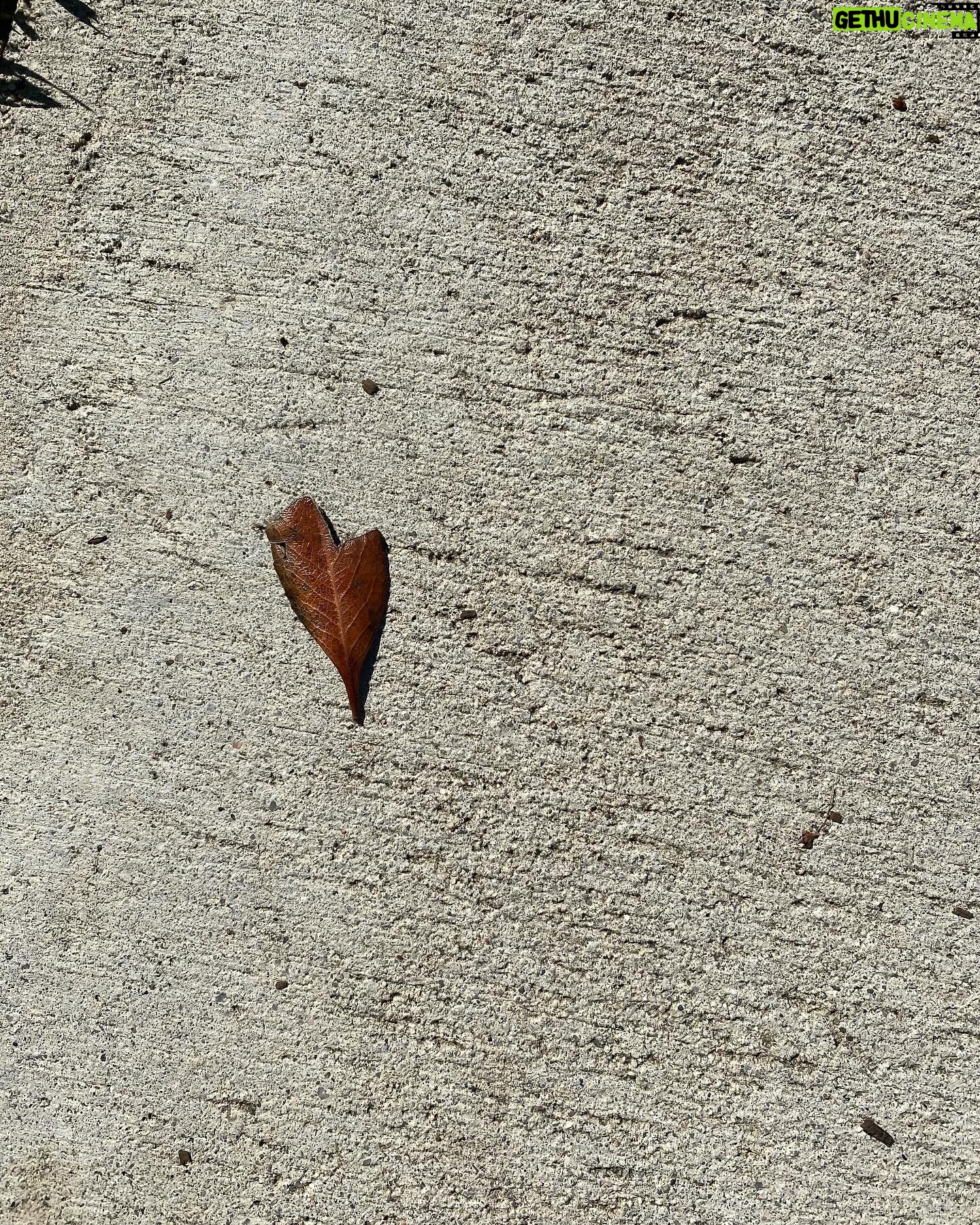 Dana Williams - 298 Likes - Iām grateful for this lifeās, funny way of breaking and healing ā¤ļøā𩹠(donāt @ me over my crooked pinky. I got it from my dad)