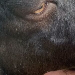 Danae Reynaud Instagram - “La Hija del abandono” o cómo no estoy lista para escribir una larga descripción de este viaje tan mágico.