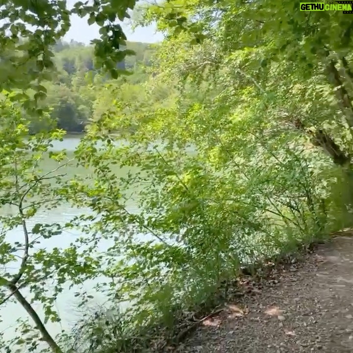 Dani Pedrosa - 32K Likes - Naturešæāļø