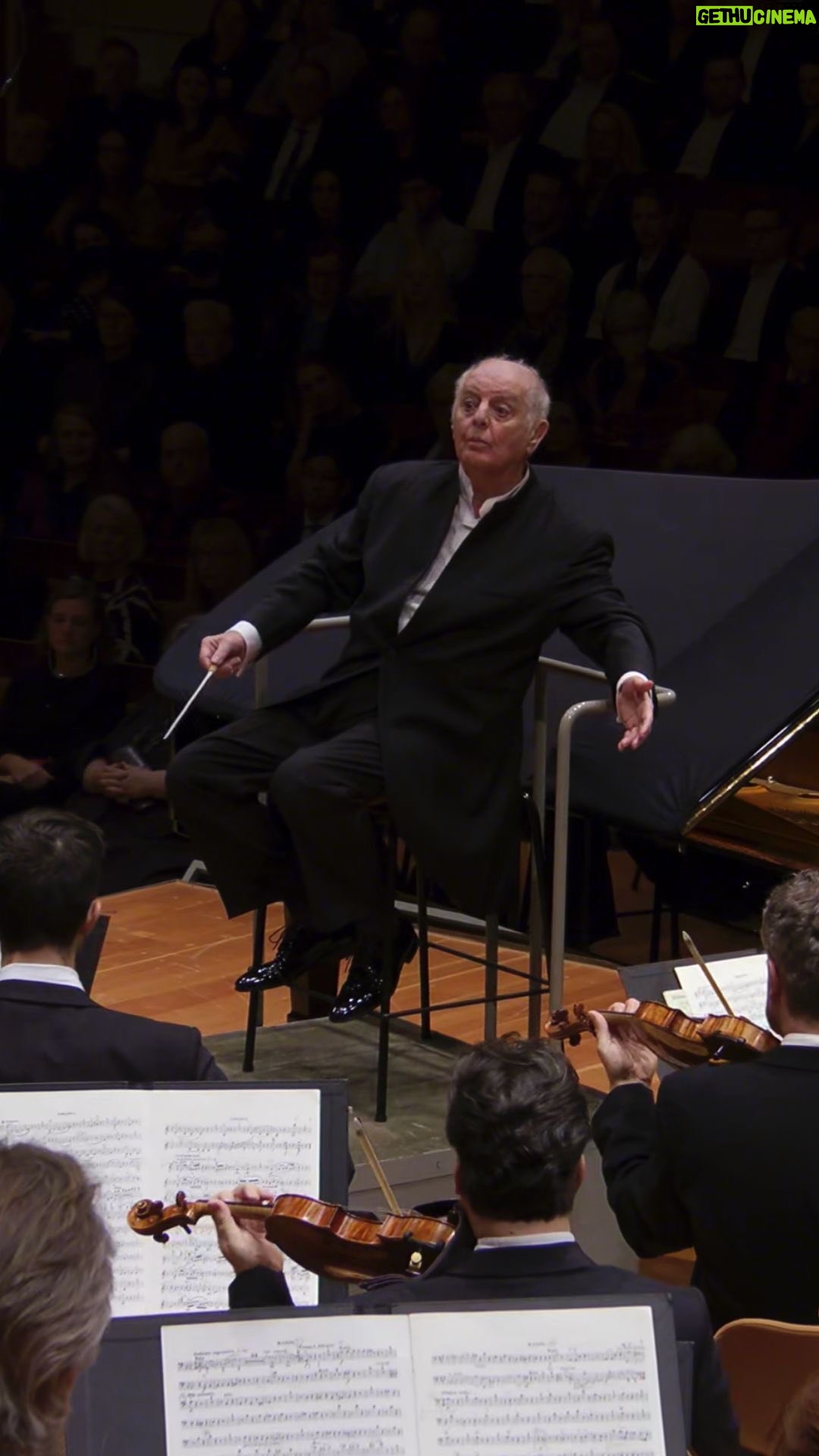 Daniel Barenboim - 4.6K Likes - 🎹💛 #OTD in 1964 Daniel Barenboim played his debut with the Berliner Philharmoniker. Today, we celebrate with this performance, when childhood friends Daniel Barenboim and Martha Argerich performed Robert Schumann’s Concerto for Piano and Orchestra in A minor together in 2023. Enjoy the whole concert in the Digital Concert Hall! Link in bio!
#BerlinPhil #DigitalConcertHall #MusiciansofInstagram #DanielBarenboim #MarthaArgerich #PianoConcerto #Schumann #ClassicalMusic