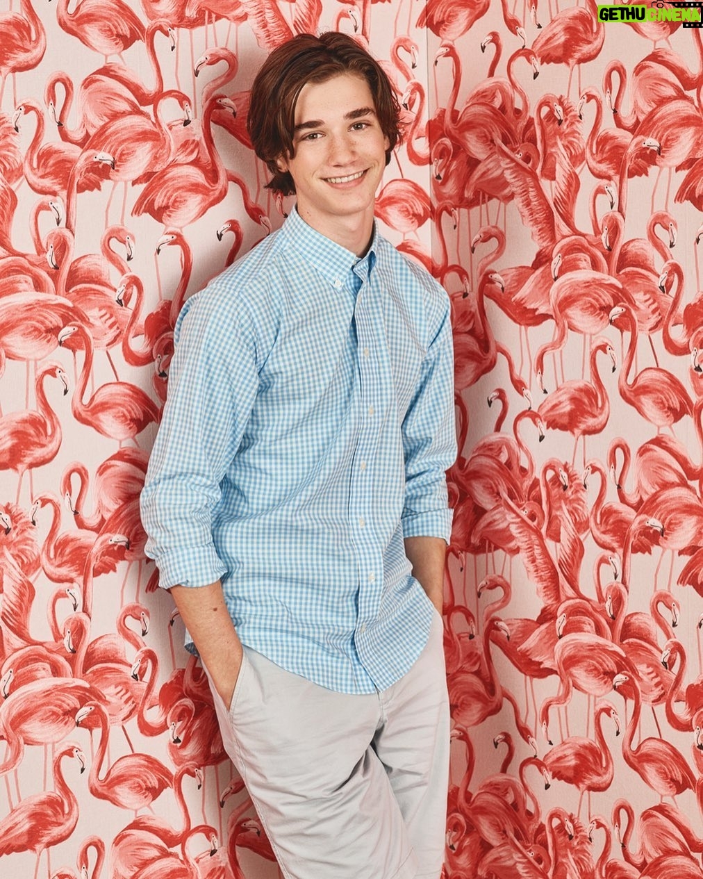 Daniel DiMaggio - 8.8K Likes - Hey Oliver here. Just wanna remind you there’s an all new season premiere of @americanhousewifeabc tonight at 8/7c 😄 #americanhousewife #season4