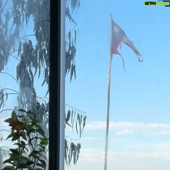 Daniel Fuenzalida - 7.1K Likes - Hace mucho tiempo que no visitaba a mis amigos Dante Quarzo y Laly en Quintay , una tarde tranquila , amena , y de linda conversación , personas de verdad , se los recomiendo vengan a sus terapias , les dejo el cel de Dante pidan hora para reservar al 56 9 9051 2526