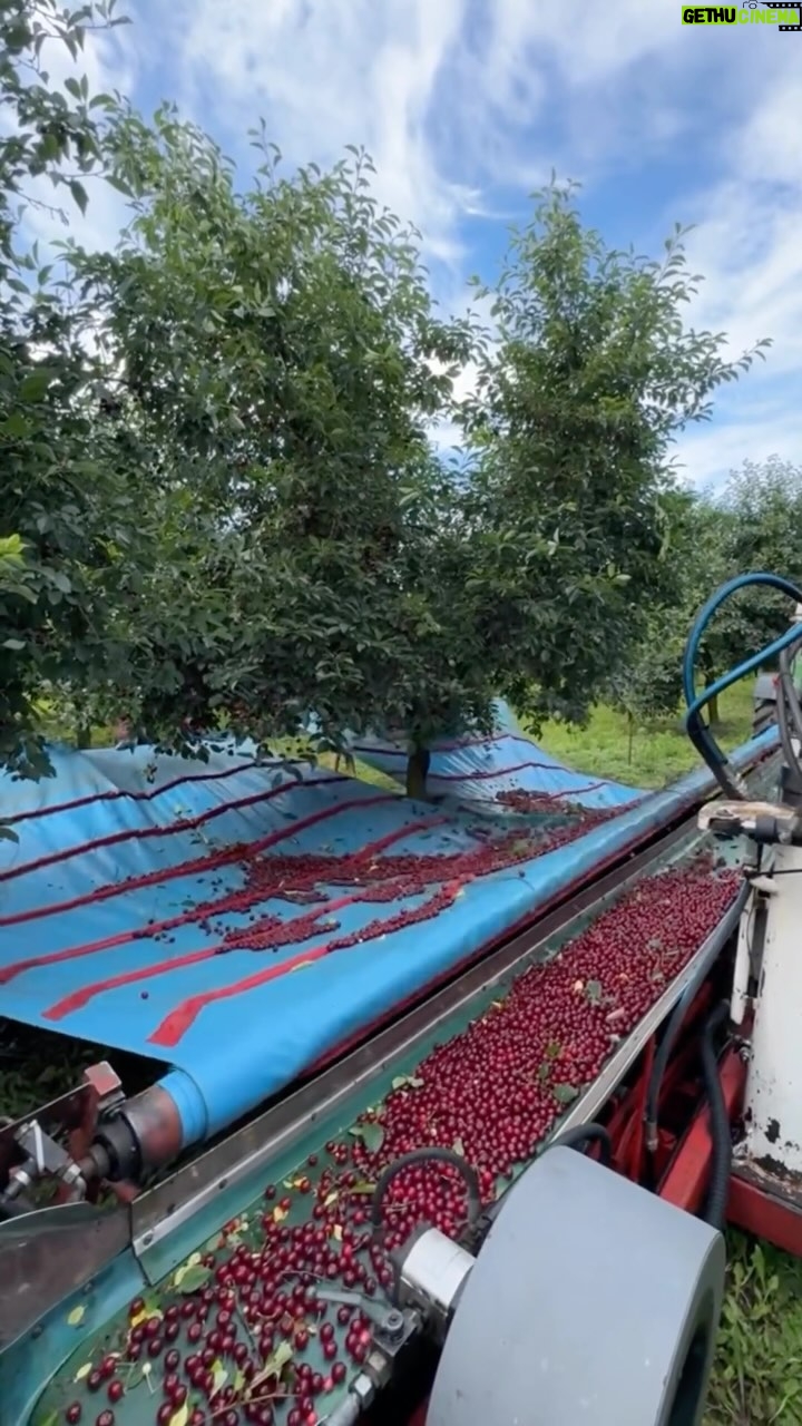 Daniel Goddard - 3 Likes - Well, there go all the harvesting jobs. 🤫