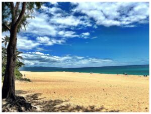 Daniel Platzman Instagram - A little slice of paradise