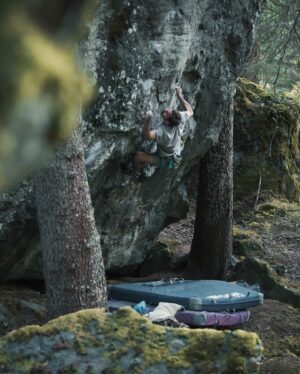 Daniel Woods Instagram - Grape Ape (8A ) FA

cleaned this line then figured out the moves with @dave_graham_ . Great rock, hold selection, and moves on this thing. hyped to add another stunner to the forest. 

Photos @lisapaarviophotography 🔥

@thenorthface @thenorthface_climb @evolv_worldwide @organicclimbing @frictionlabs @physivantage