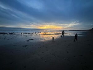 Danny Elfman Instagram - The Elf-Gang takes an Xmas morning beach walk