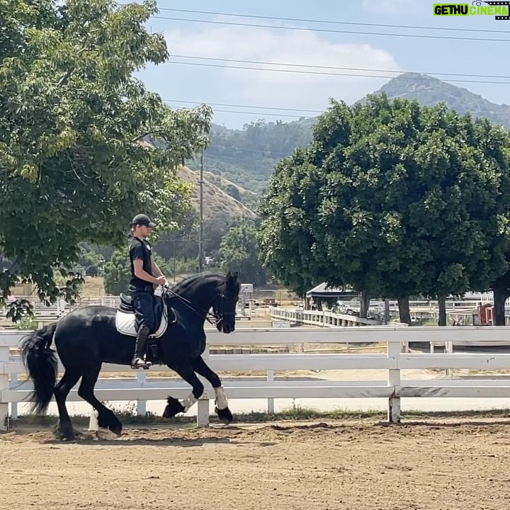 Danny Griffin - 168.2K Likes - Alexa play old town road