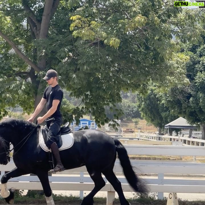 Danny Griffin - 168.2K Likes - Alexa play old town road