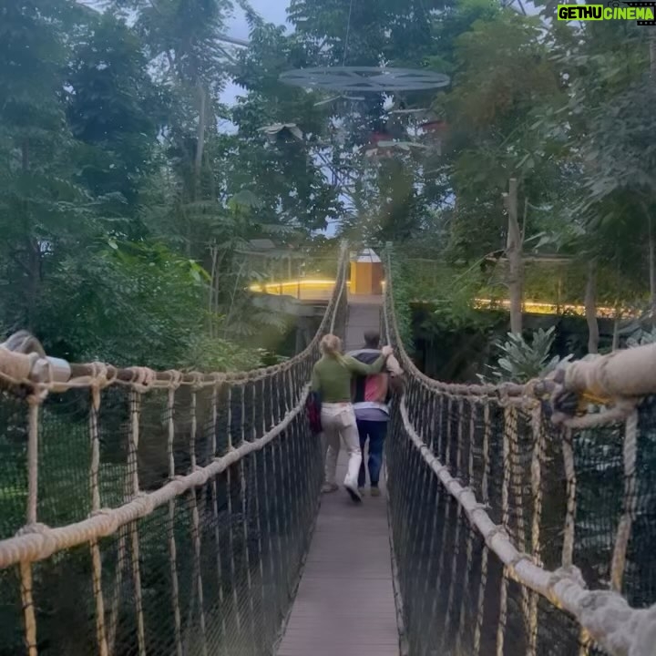 Danny Griffin - 242.1K Likes - We got lost in a “rainforest”