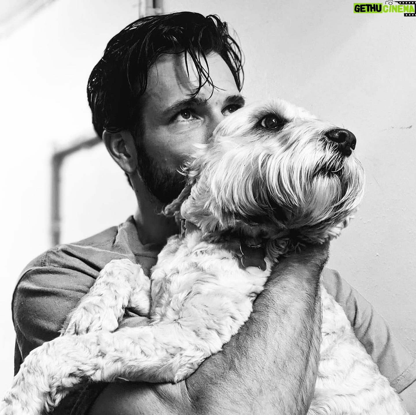 Danny Mac - 2.4K Likes - my boys came to visit
📷 @nuwanhugh
.
.
.
#dogs #dog #dogsofinstagram #dogsofinsta #cockerpoo