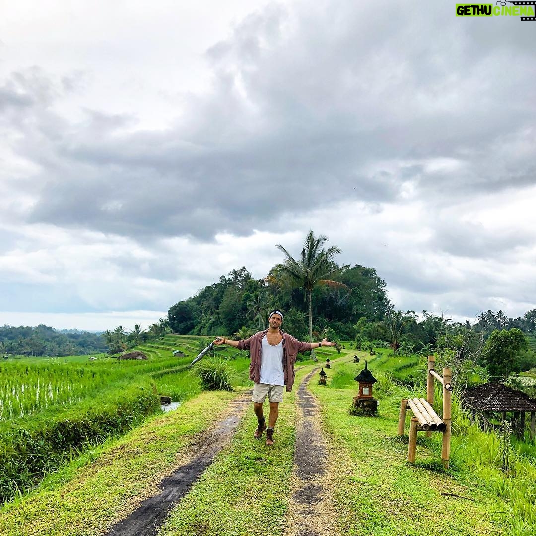 Danny Mac - 1.3K Likes - Me with literally no words to describe this place... #bali #jatiluwih #jatiluwihriceterrace