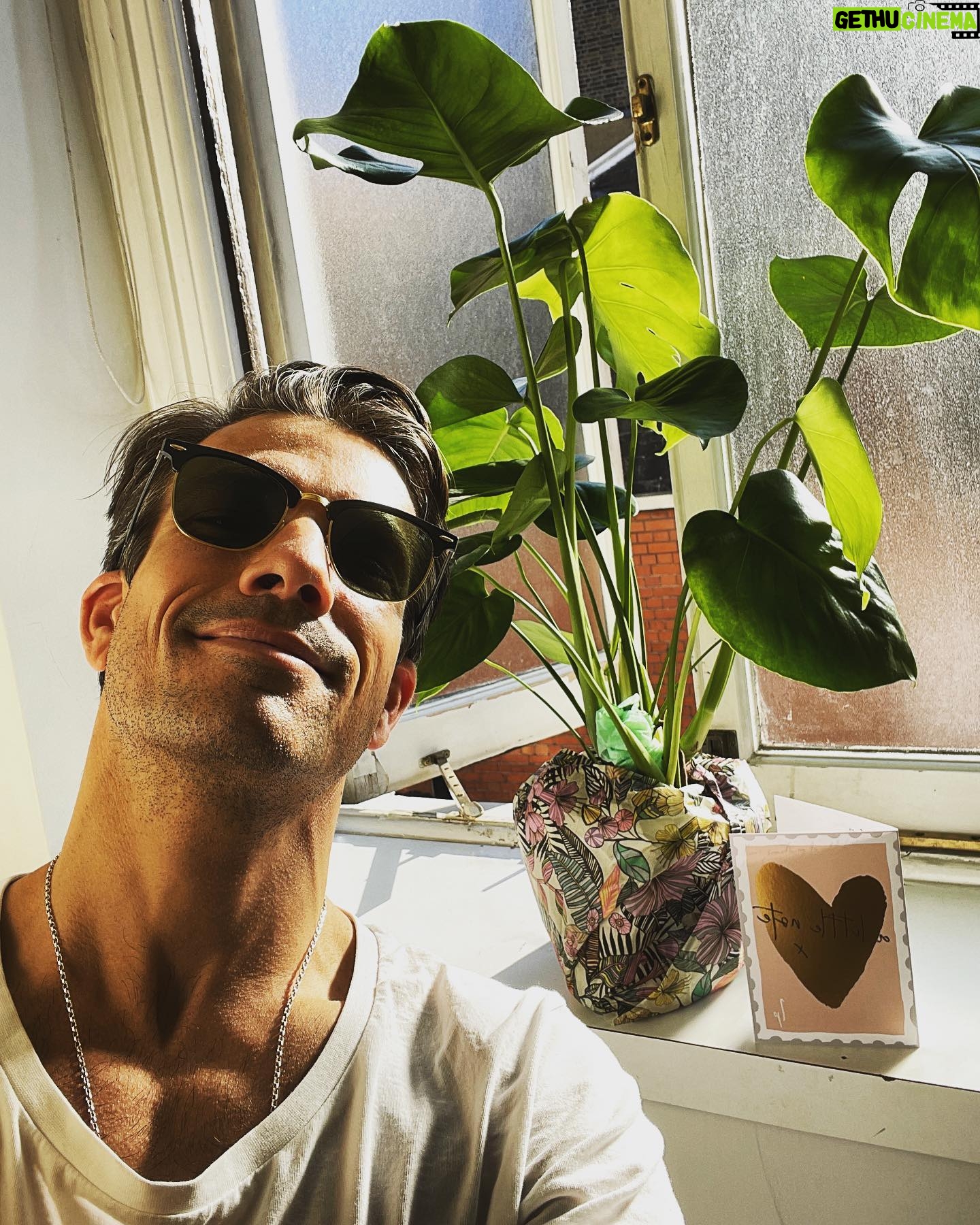 Danny Mac - 1.8K Likes - 🌱
