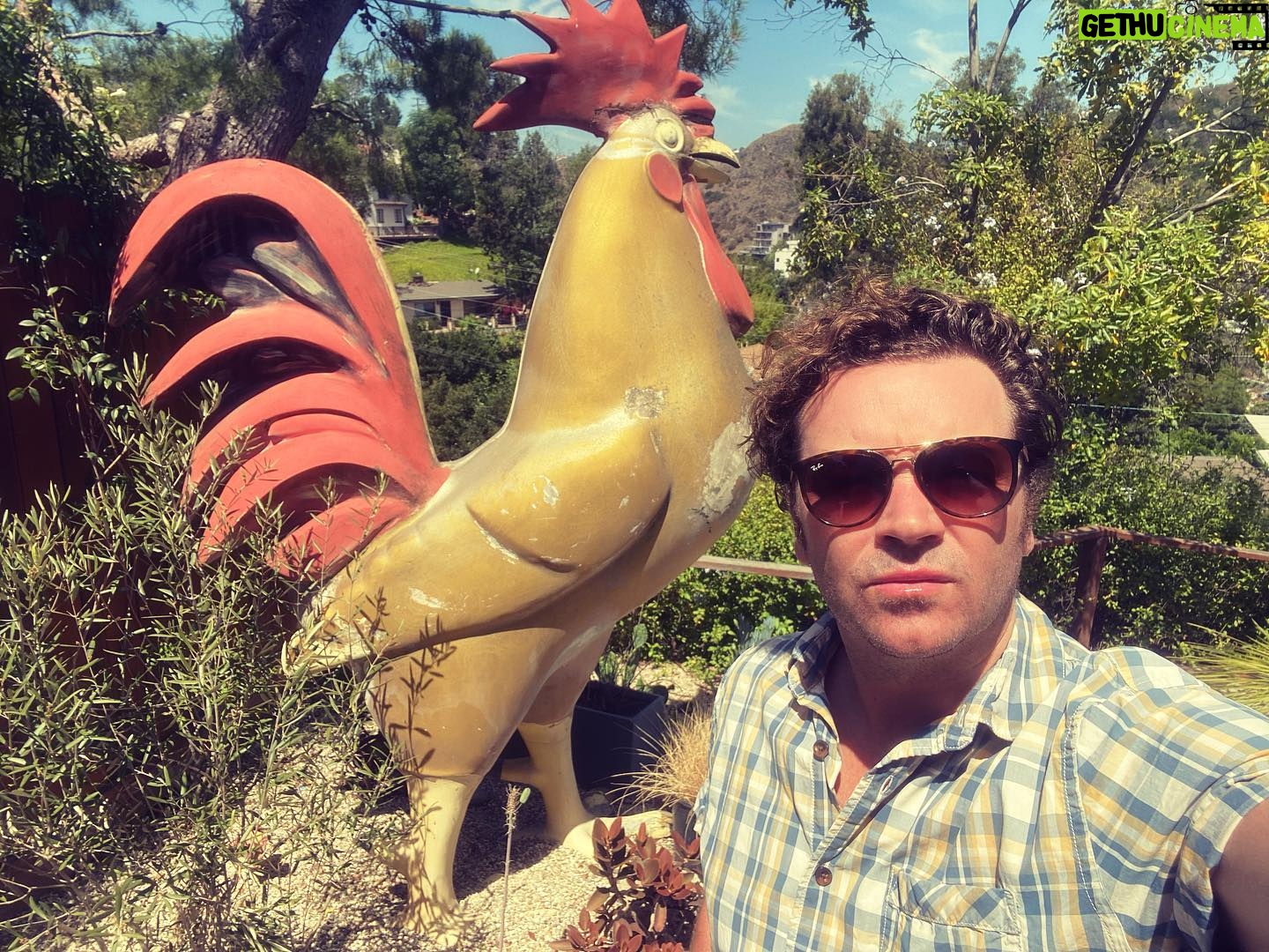 Danny Masterson - 24.8K Likes - You cannot snuff the 🐓 #gallo