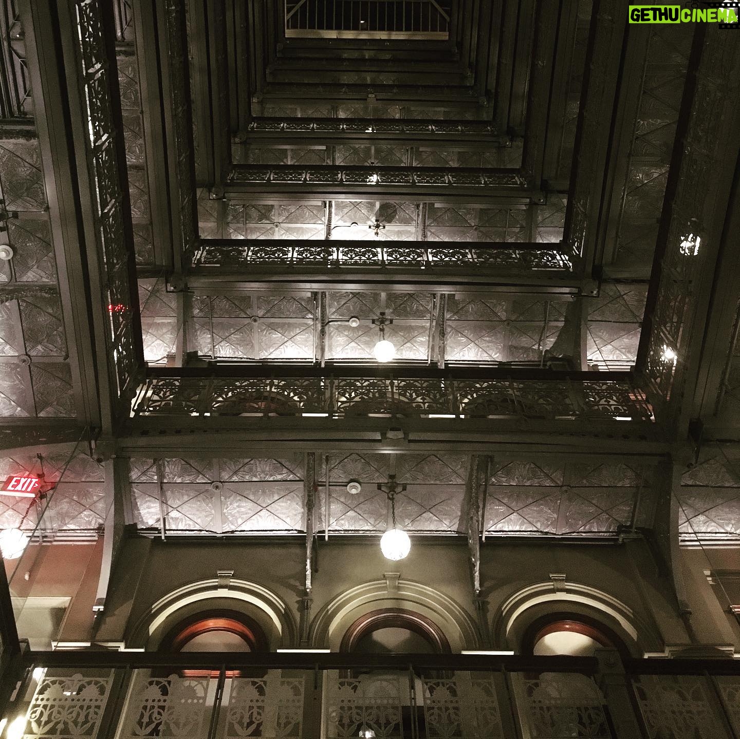 Danny Masterson - 14.1K Likes - Just the dopest hotel in NYC. Shire cabin on the roof. #thebeekmanhotel