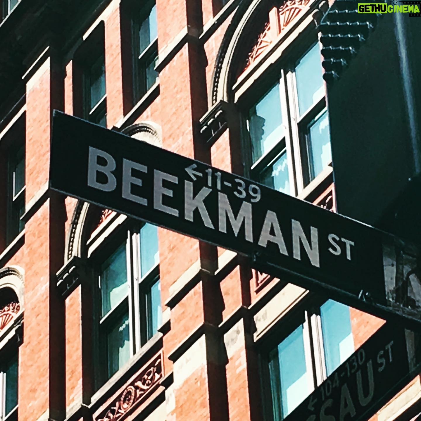 Danny Masterson - 14.1K Likes - Just the dopest hotel in NYC. Shire cabin on the roof. #thebeekmanhotel
