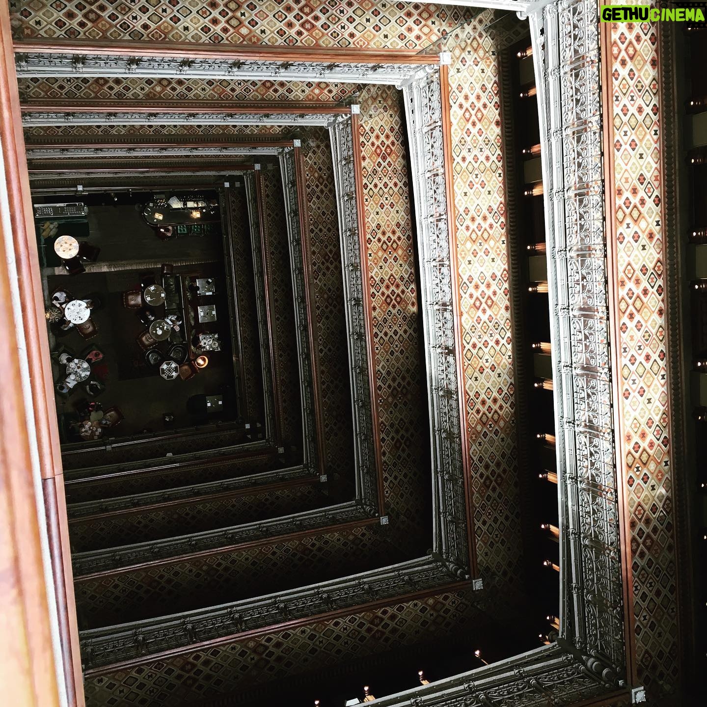 Danny Masterson - 14.1K Likes - Just the dopest hotel in NYC. Shire cabin on the roof. #thebeekmanhotel