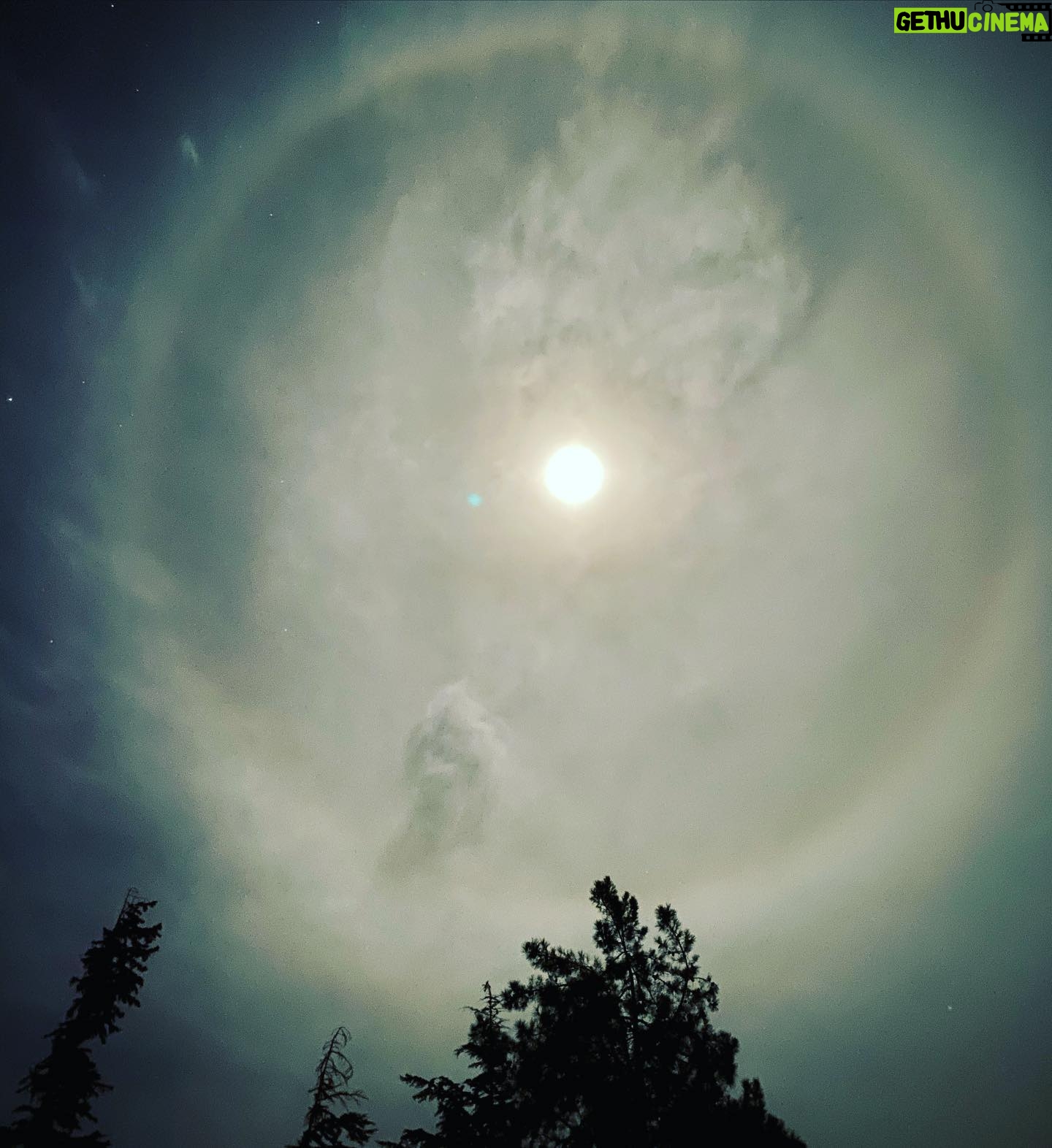 Danny Masterson - 19.5K Likes - The moon is gettin real weird right now.