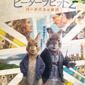 Dante Carver Instagram - Cute Merch From @sonypicturesjp for #peterrabbit2 可愛い！6月25日#ピーターラビット2 🥕 Check It Out!