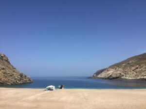 Daphné Patakia Instagram - New project