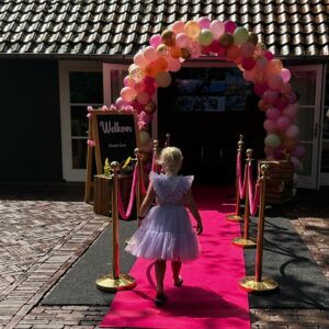 Daphne van Gerwen Instagram - Alvast een heel leuk feestje gehad #zoë6jaar #bedanktiedereen 🎉 #bijnaechtjarig