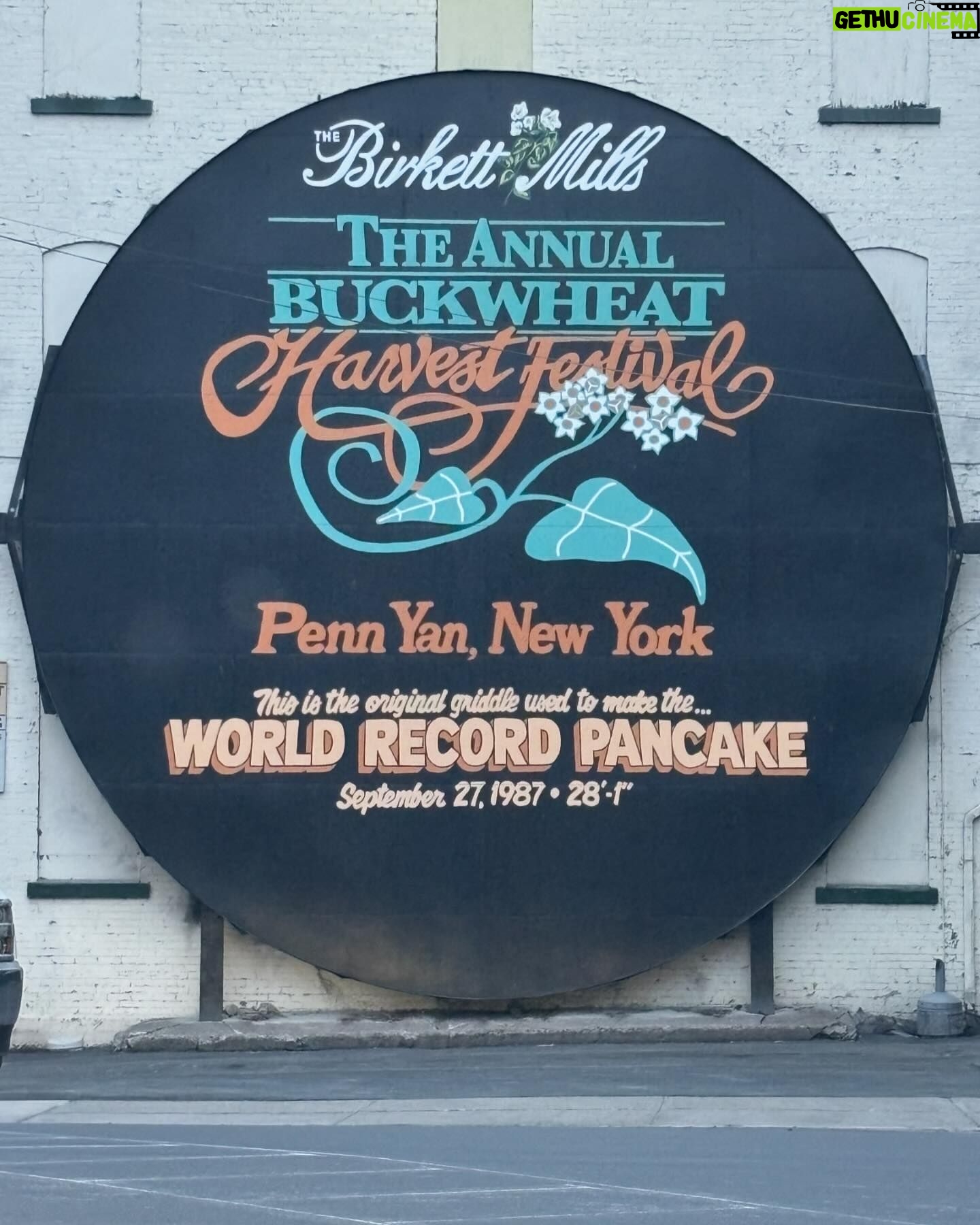 Darienne Lake - 1.4K Likes - You never know where I’m going to show up. Last night, I was honored to celebrate Elayna & Page’s upcoming nuptials in #PennYan NY. Fun fact: they broke the world record for the largest pancake. You can also enjoy the Amish & mennonite clip-clopping around town.
Small towns need drag and representation. I think of all the queer children who need us to show up. So this pride season, travel to a small town pride. Spread the love. 🏳️⚧️🏳️🌈