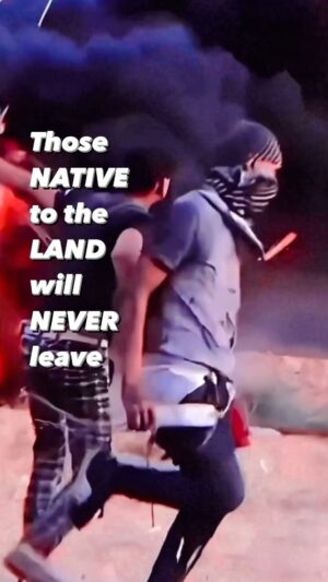 Darin J. Sallam Instagram - Those NATIVE to the LAND will NEVER leave

#freepalestine #endtheoccupation #endthegenocide #indigenouspeople