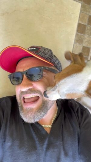 Darío Ripoll Instagram - Camila adoptada ! #reahabilitacion #doglover
