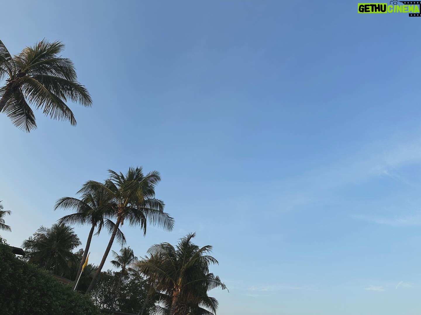 Darvid Kreepolrerk - 3 Likes - 🌴🌴🌴