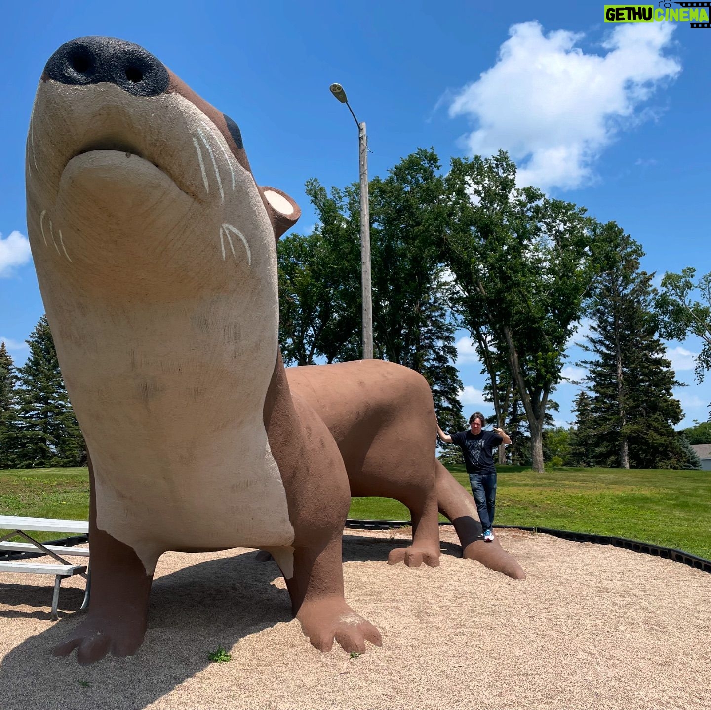 Dave Hill - 1.3K Likes - Got my picture taken with a giant otter today. Take that, everyone from high school!
