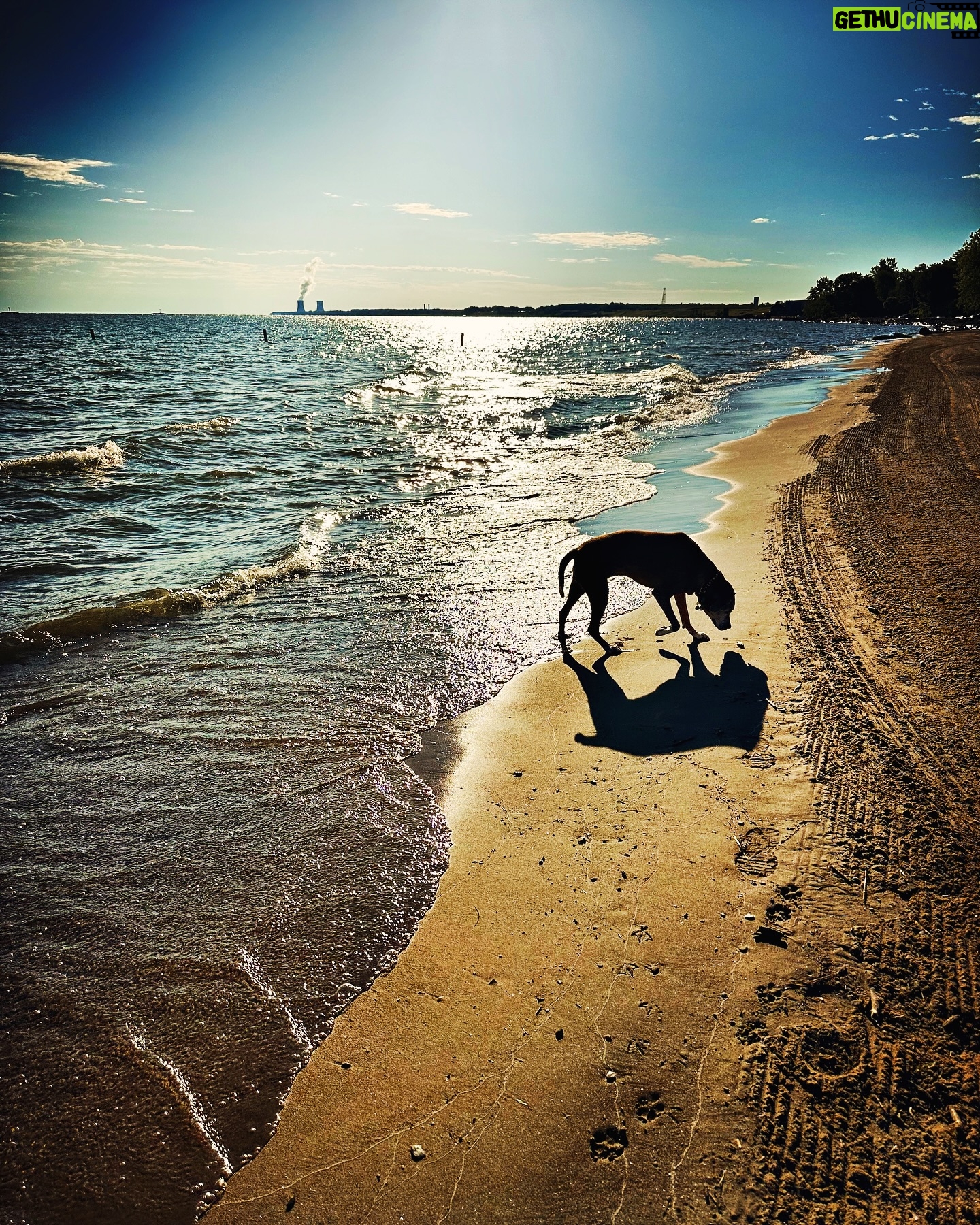 Dave Hill - 663 Likes - At the beach this morning with my sweet Lu.