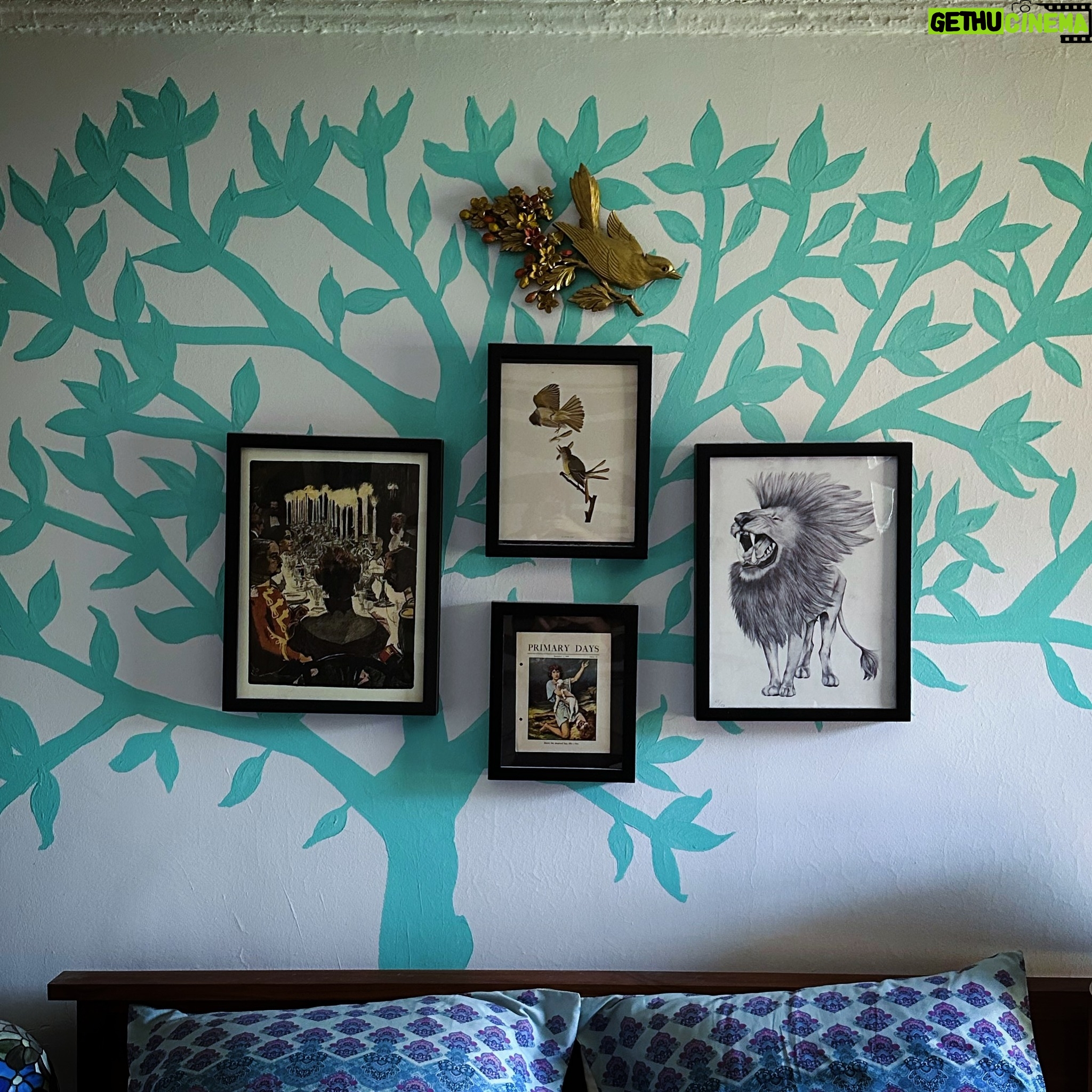 Dave Hill - 717 Likes - Here’s a picture of my bedroom in case you don’t feel like asking your mom to describe it to you.