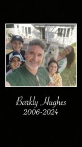 Dave Hughes Top 100 Instagram Photos and Posts