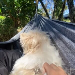 Davi Campolongo Instagram - Iniciando meu novo ano com muitas vibrações positivas.✨ 
Dump do final de semana.🍁

Obrigado a todos pelas mensagens e por todo carinho 🙏

#davicampolongo #aniversario #monteverde #mg