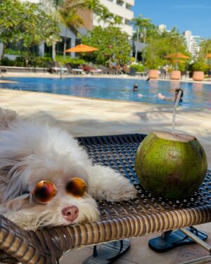 Davi Campolongo Instagram - Seja bem vindo junho! 
Iniciando meu mês aqui no @celebrationresortolimpia @hotbeach.oficial .

Celebrando a vida!🙏

#davicampolongo #olimpia #celebrationresortolimpia #resort #petfriendly #cometabiewer #familia