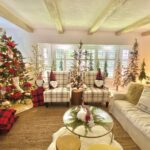David Bromstad