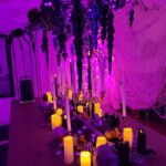 David Bromstad