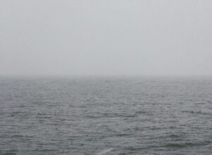 David Byrne Instagram - the sea